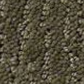 Carpet Samples Browns - FCI North DFW