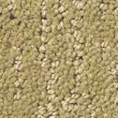 Carpet Sample Golds - FCI North DFW