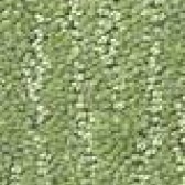 Carpet Sample Greens - FCI North DFW