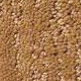 Carpets Sample oranges - FCI North DFW